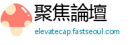 聚焦論壇